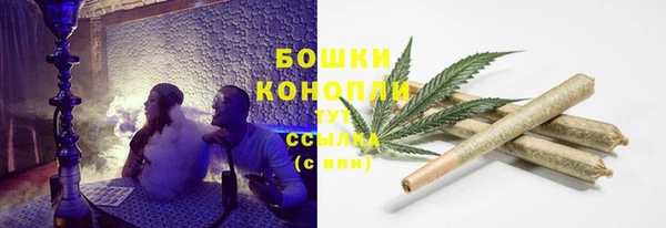 трава Бронницы