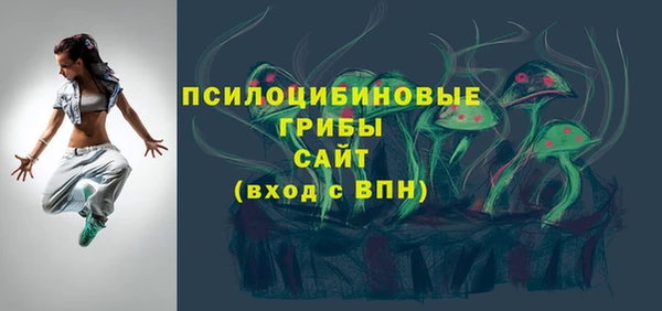 соль курить ск Бородино