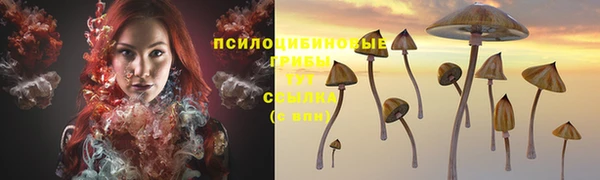 трава Бронницы