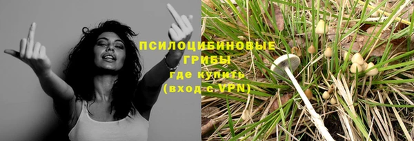 a pvp Бугульма