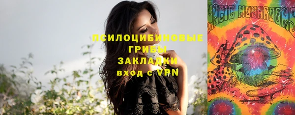 соль курить ск Бородино