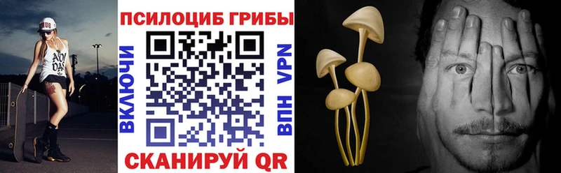 Псилоцибиновые грибы прущие грибы где купить Давлеканово